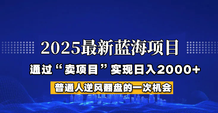 2025年蓝海项目，如何通过“网创项目”日入2000+-资源社区