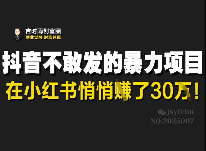 抖音不敢发的暴利项目，在小红书悄悄挣了30W-资源社区