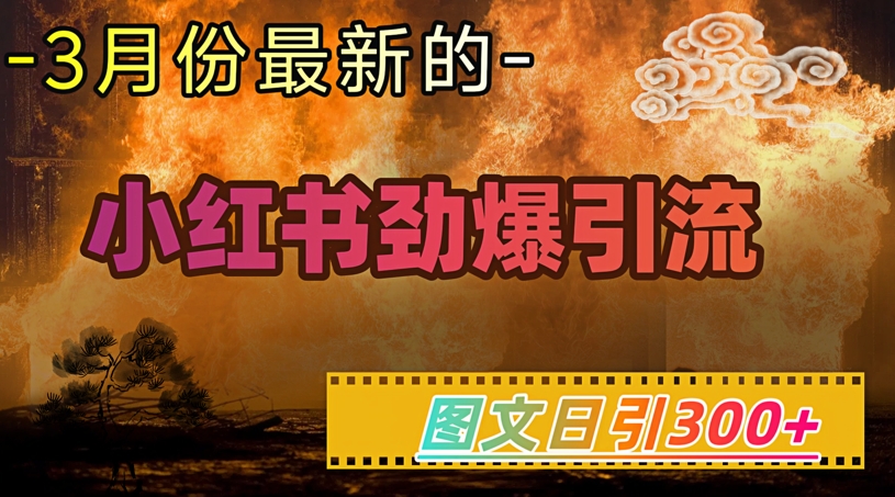 小红书超劲爆引流手段，图文日引300+轻松变现1W-资源社区