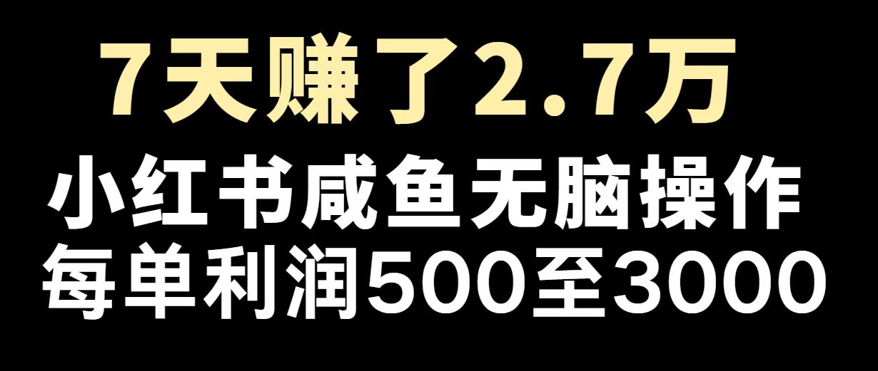 最赚钱项目之一，2025爆火，逆风翻盘！-资源社区