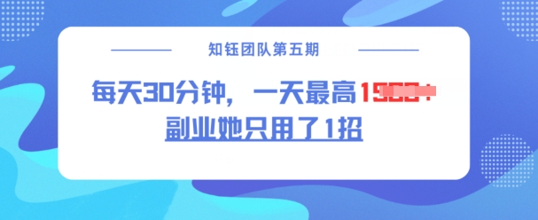 副业她只用了1招，每天30分钟，无脑二创，一天最高1.5k-资源社区