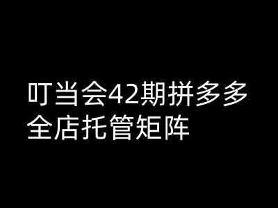 叮当会拼多多打爆班原创高阶技术第42期，拼多多全店托管矩阵-资源社区