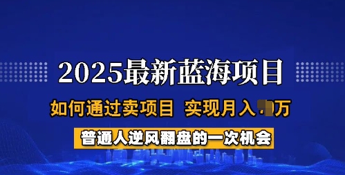 2025蓝海项目，普通人如何通过卖项目，实现月入过W，全过程【揭秘】-资源社区