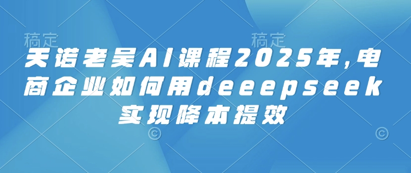 天诺老吴AI课程2025年，电商企业如何用deeepseek实现降本提效-资源社区