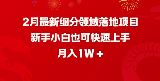 2月最新细分领域落地项目，新手小白也可快速上手，月入1W-资源社区