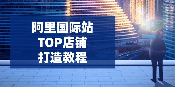 阿里国际站TOP店铺打造教程：涵盖平台到高阶，解决运营难题，提升询盘-资源社区