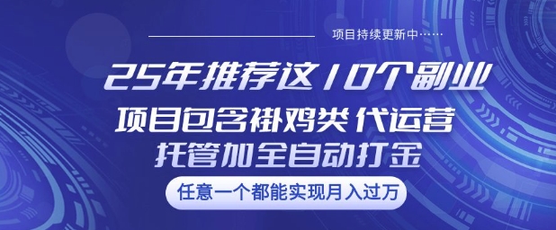 25年推荐这10个副业项目包含褂鸡类、代运营托管类、全自动打金类【揭秘】-资源社区