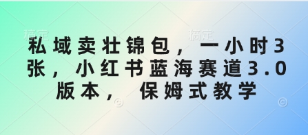 私域卖壮锦包，一小时3张，小红书蓝海赛道3.0版本， 保姆式教学-资源社区