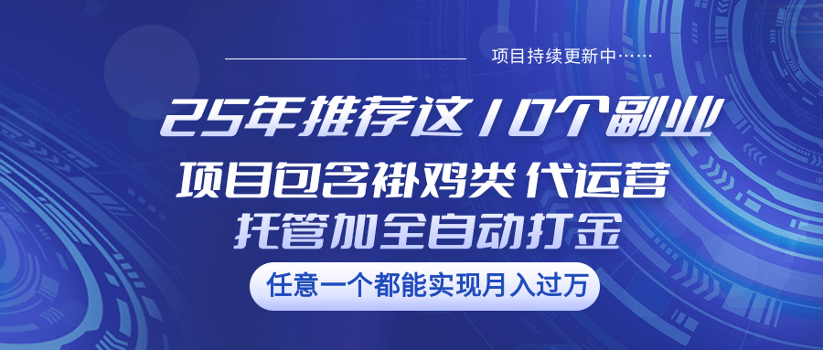 25年推荐这10个副业 项目包含褂鸡类、代运营托管类、全自动打金类-资源社区