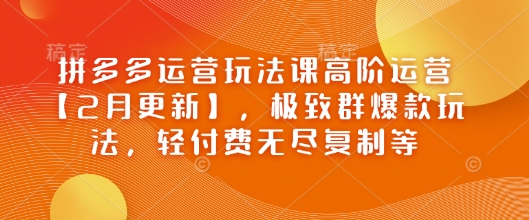 拼多多运营玩法课高阶运营【2月更新】，极致群爆款玩法，轻付费无尽复制等-资源社区