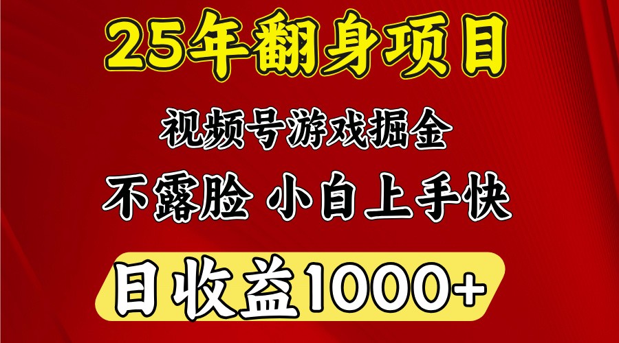 一天收益1000+ 25年开年落地好项目-资源社区