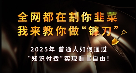 知识付费如何做到月入过W+，2025我来教你做“镰刀”【揭秘】-资源社区