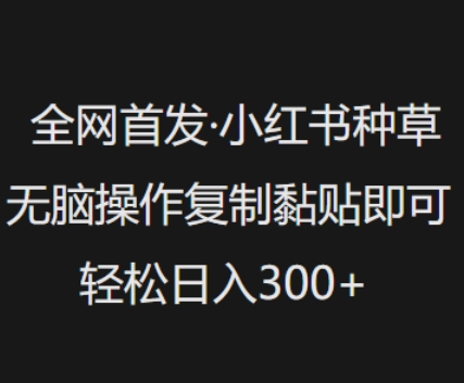 全网首发，小红书种草无脑操作，复制黏贴即可，轻松日入3张-资源社区