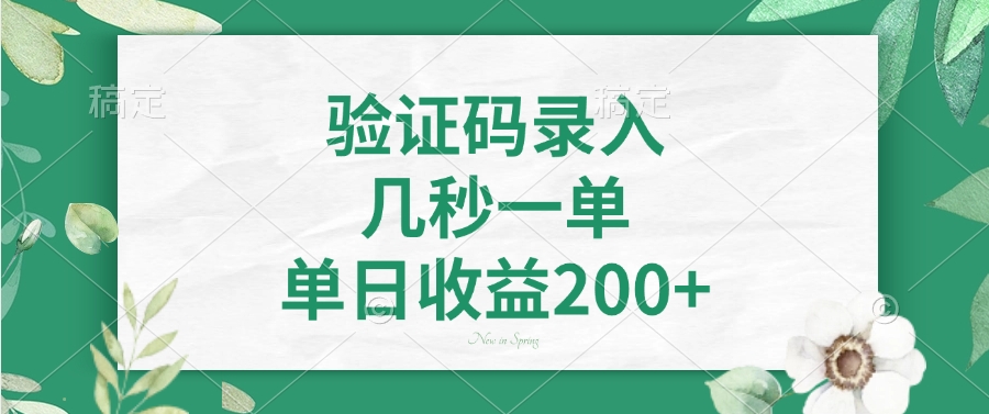 验证码录入，几秒一单，单日收益200+-资源社区