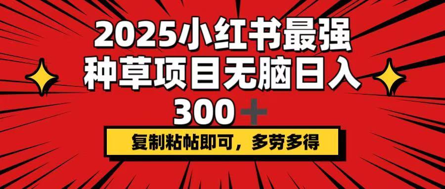 2025小红书最强种草项目，无脑日入300+，复制粘帖即可，多劳多得-资源社区