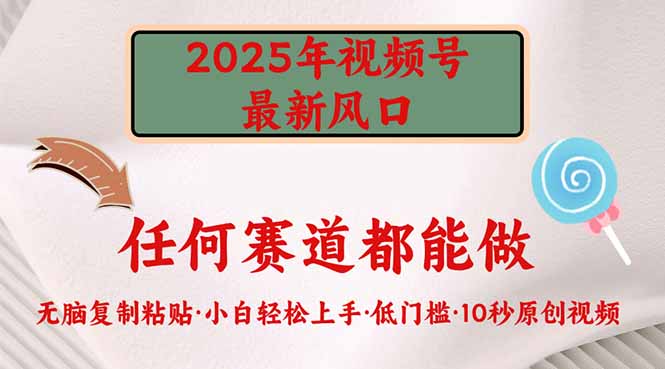 2025年视频号新风口，低门槛只需要无脑执行-资源社区