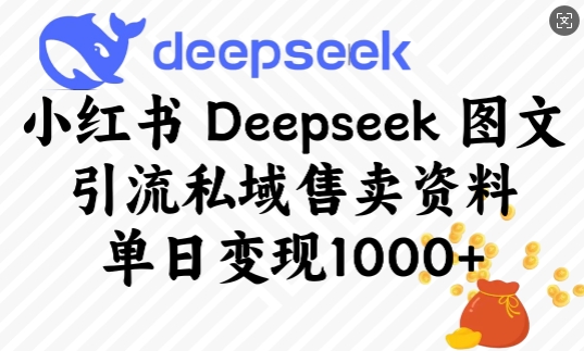 小红书Deepseek图文引流私域售卖资料，单日变现多张-资源社区