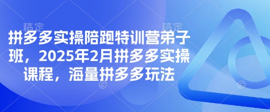 拼多多实操陪跑特训营弟子班，2025年2月拼多多实操课程，海量拼多多玩法-资源社区