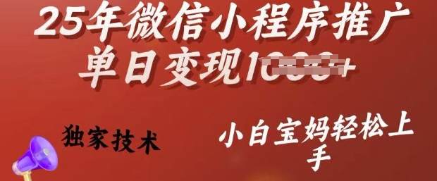 25年微信小程序推广单日变现多张，独家技术，小白宝妈轻松上手【揭秘】-资源社区