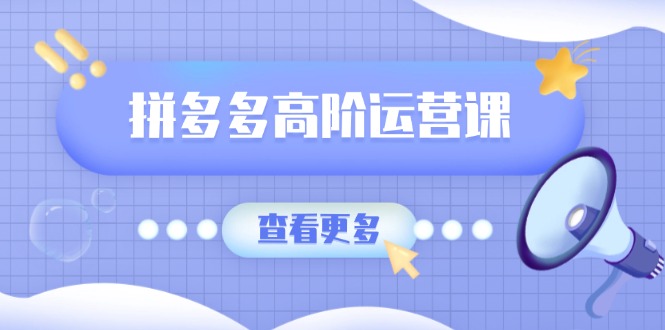 拼多多高阶运营课：极致群爆款玩法，轻付费无尽复制，打造单品爆款之路-资源社区