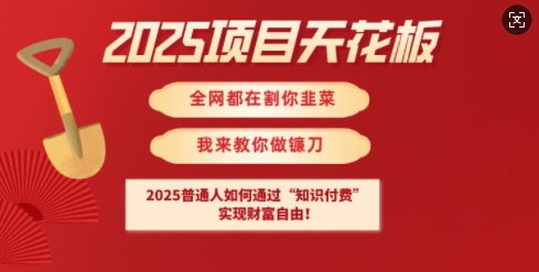 2025项目天花板普通人如何通过知识付费，实现财F自由【揭秘】-资源社区